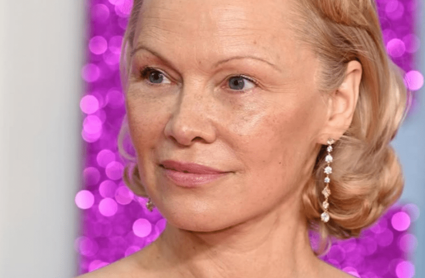 Pamela Anderson Career