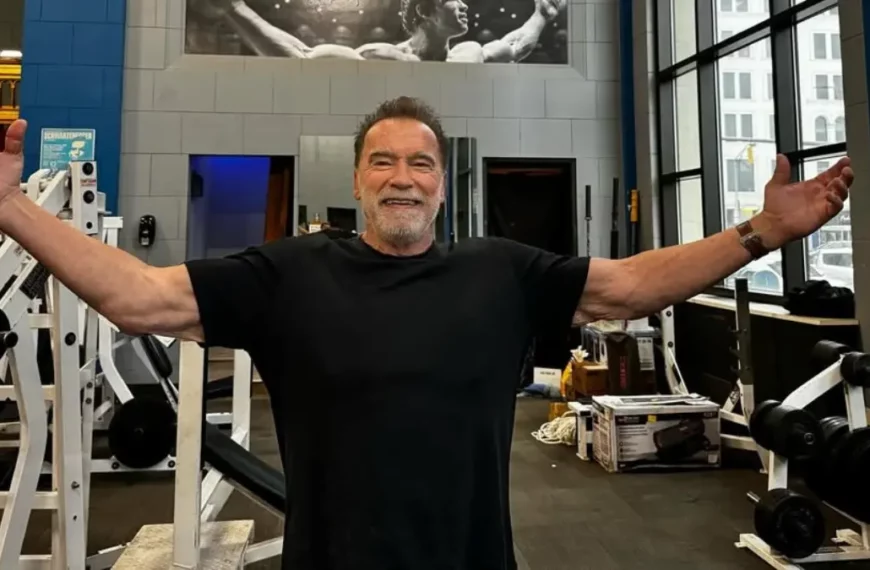 Arnold Schwarzenegger: Could Conan be Back?